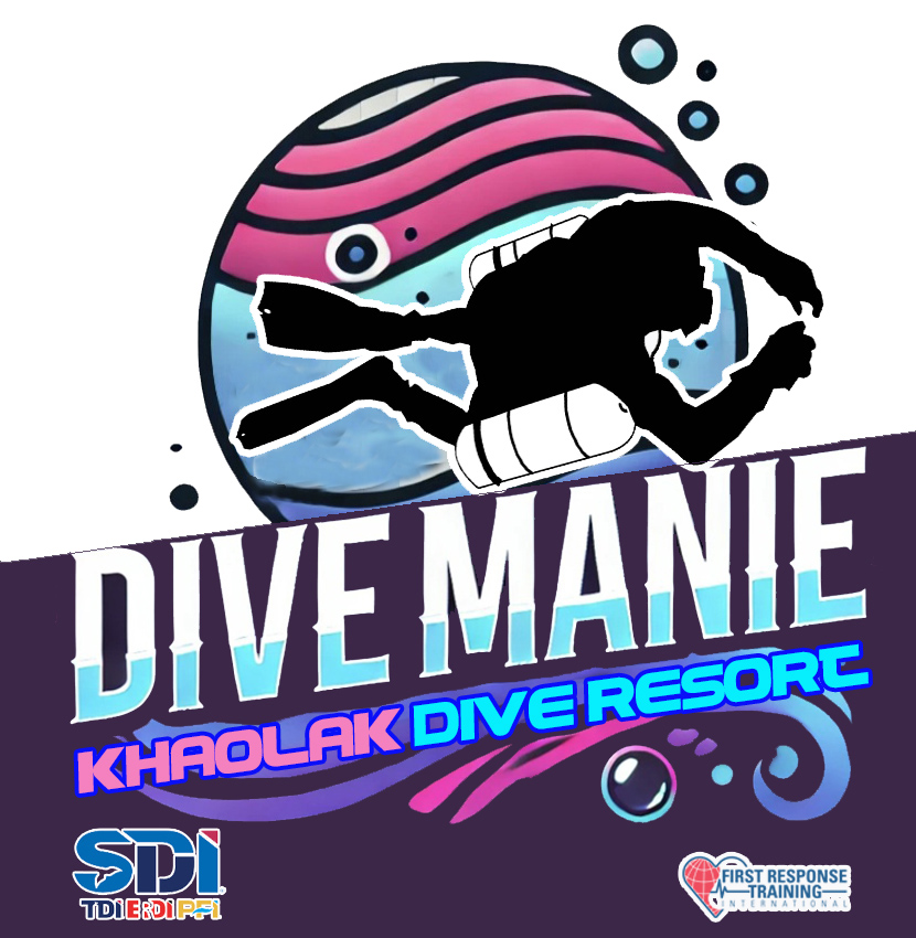 Dive Manie Logo